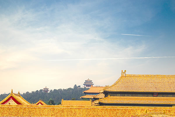 1718871700880536.jpg 3.jpg